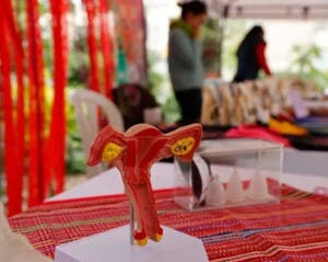 Salud femenina en peligro: 19 químicos hallados en compresas y tampones desechables