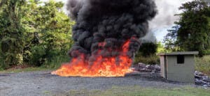 Destruyen drogas ocupadas en varios operativos