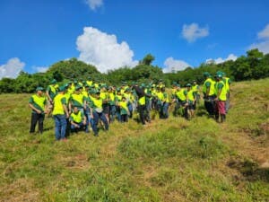 Realizan jornada de reforesta en el Parque Nacional Loma los 7 Picos