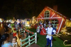 Villa Navidad