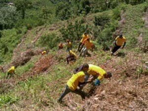 Presos salen de prisión a reforestar en San Cristóbal