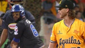 Fanáticos desean una final entre Licey y Águilas