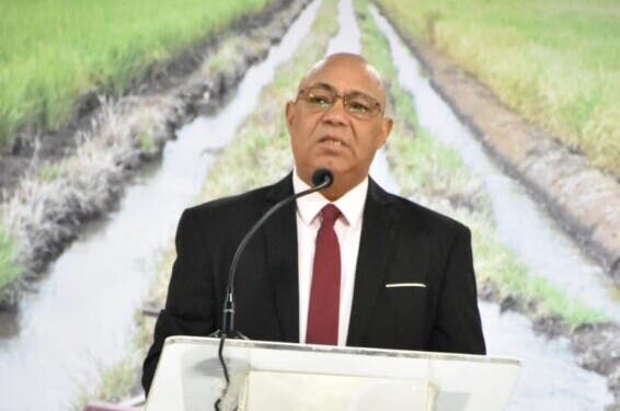 Vega Real finalizó 2024 con crecimiento del 19%