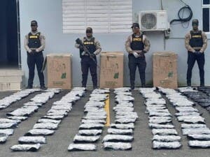 Incautan cargamento de 160 paquetes de marihuana en Puerto Plata