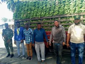 Detienen dominicanos ocultaban dos haitianos en camión de guineos verdes