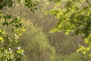 Indomet: Chubascos y temperaturas calurosas para este sábado