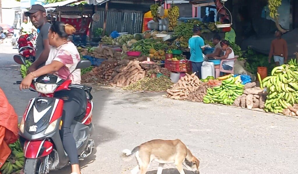 El mercado de Pedernales, el cual funciona en una calle y con los alimentos colocados en el pavimento./Foto Julio Gómez