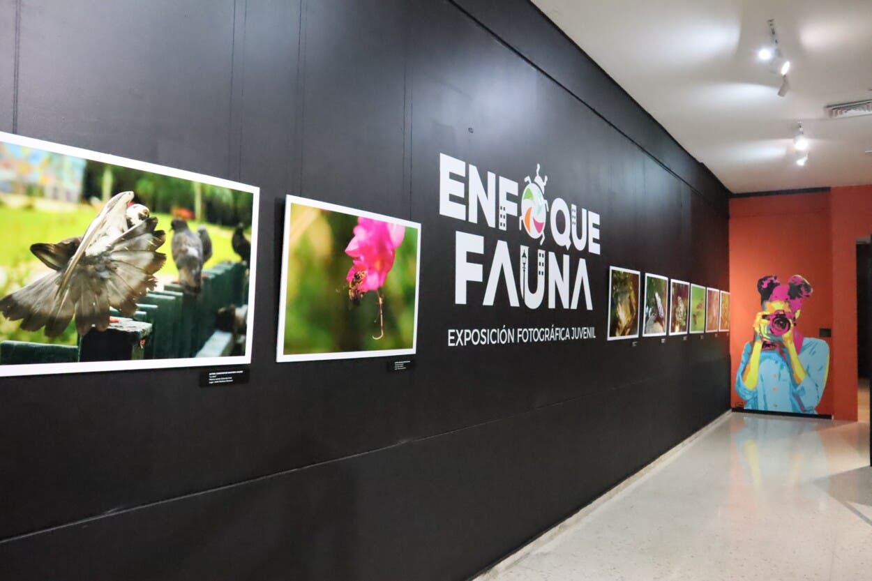 Abierta la segunda edición del concurso fotográfico “Enfoque fauna” del Museo Natural