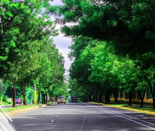 La avenida Ecológica, mejor conocida como avenida Parque Mirador Norte, es una de las vía modelo, del municipio SDN, la imagén, muestra el paisaje, la misma, ha sido lugar de varios accedintes de tránsito.