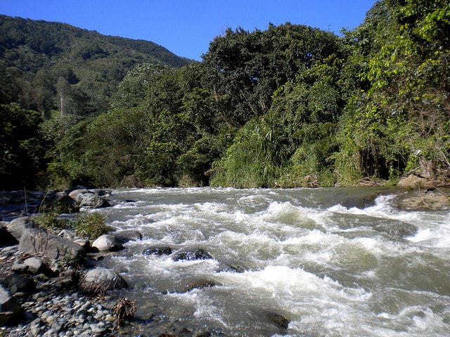 Al respecto de celebrar el Día Mundial del Agua, el Gobierno anunció el inicio de un programa de saneamiento en República Dominicana.