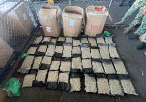 DNCD decomisa 39 paquetes de marihuana en Haina
