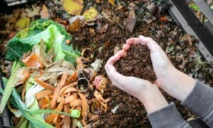 Inicia este martes en NYC compost