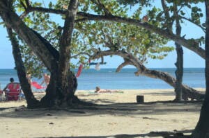 “Playa Carolina: el refugio paradisíaco y sereno de Las Terrenas”