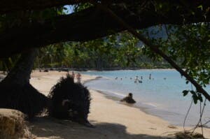 El encanto de Playa Bonita: naturaleza y aventura en un destino único en Las Terrenas