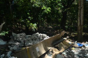 La Barquita Vieja: Un santuario natural olvidado y convertido en basurero