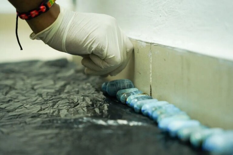 El mercado mundial de la cocaína es el que más crece, advierte la JIFE