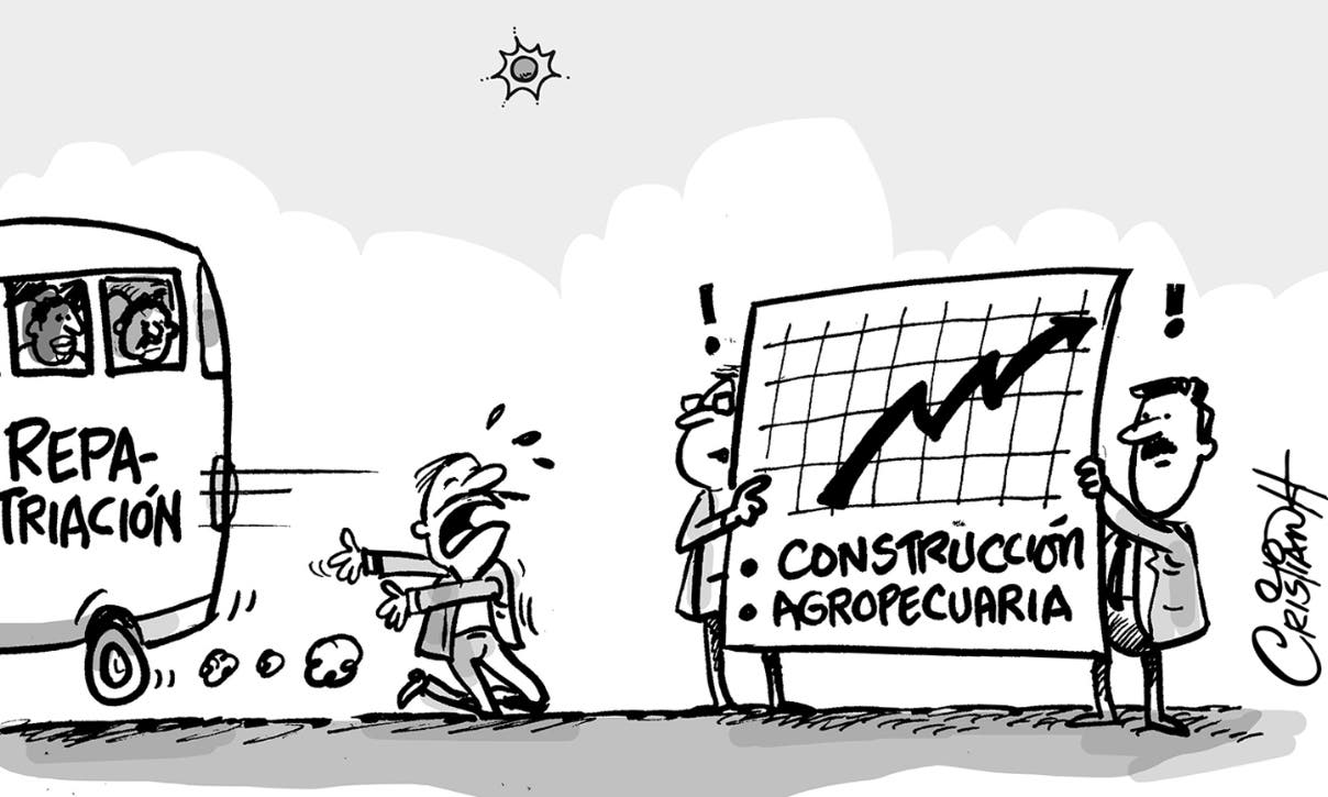 Tozudas estadísticas