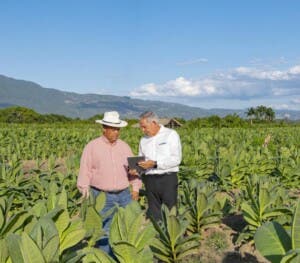 Banfondesa: una década de compromiso con el desarrollo sostenible