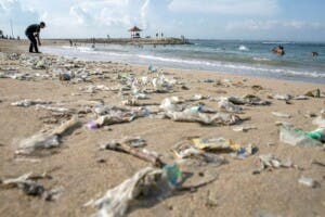 Cinco graves desafíos para entender el porqué del Día del Medio Ambiente