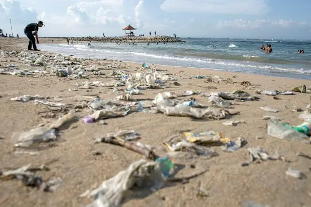 Cinco graves desafíos para entender el porqué del Día del Medio Ambiente