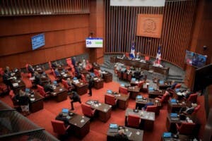 Senado aprueba proyecto de Ley Orgánica del TSE con observaciones del Poder Ejecutivo