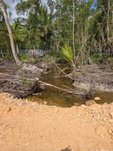 Procuraduría paraliza proyecto inmobiliario por daños ambientales en  Las Terrenas, Samaná