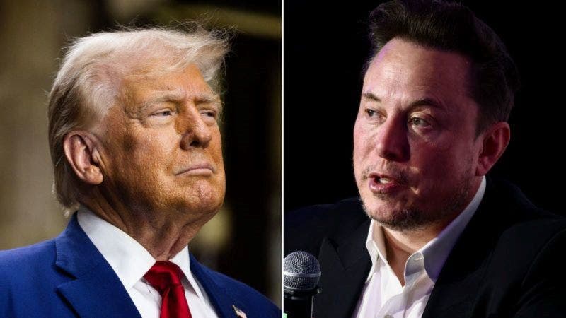 De amigos a enemigos: cronología de la abrupta ruptura entre Musk y Trump