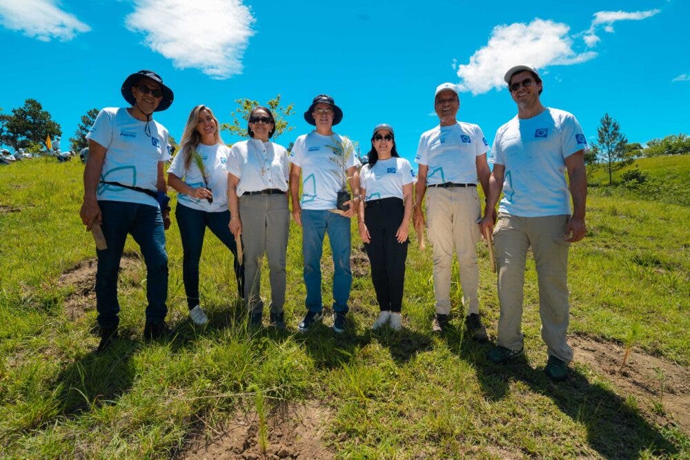 Voluntarios de Grupo Popular siembran 5,000 árboles en Plan Sierra
