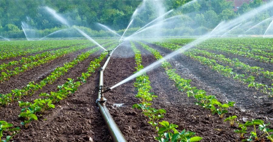 Impulsan transformación agrícola en provincias del sur con inversión de RD$100 millones