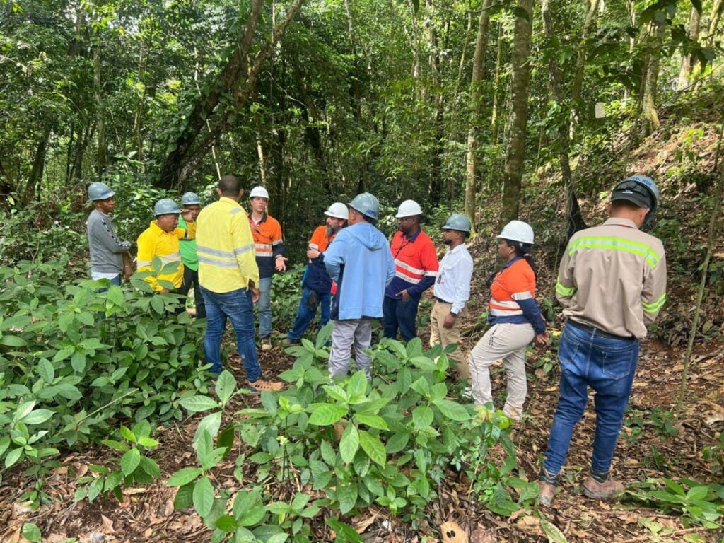 Barrick Pueblo Viejo refuerza medidas de control de erosión y sedimentos en El Naranjo