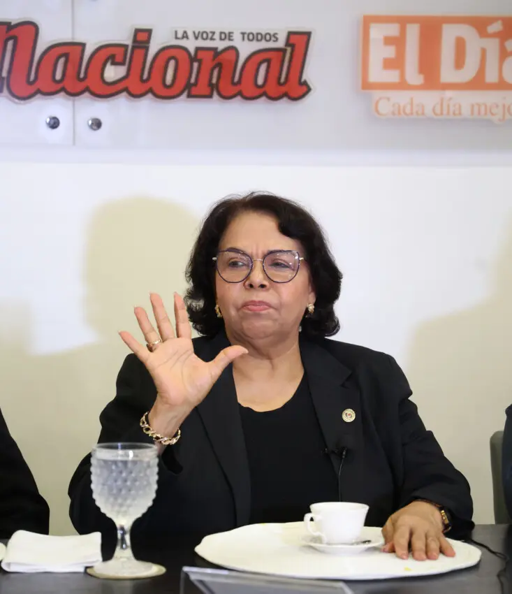 ¿Por qué fracasó la pasada gestión de la Cámara de Cuentas? Emma Polanco responde