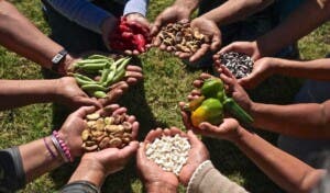 Menos hambre y más seguridad alimentaria en América Latina, reporta informe