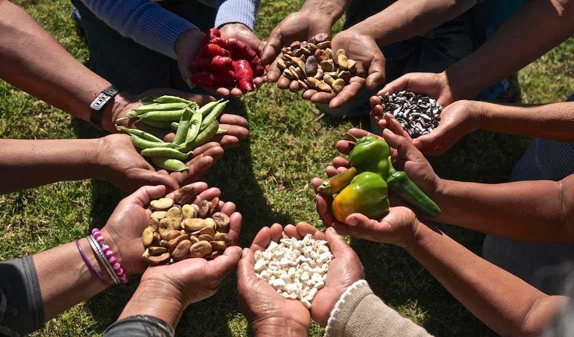 Menos hambre y más seguridad alimentaria en América Latina, reporta informe