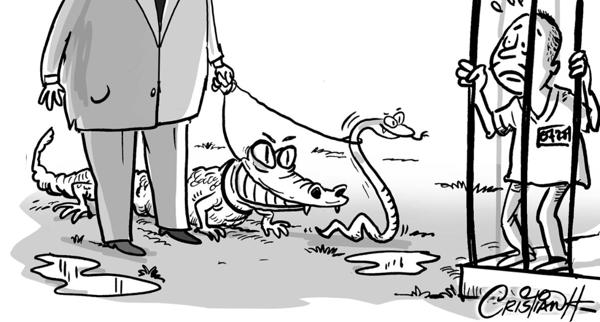Cocodrilos y serpientes