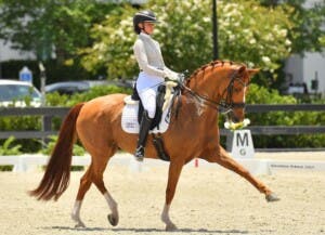 Engstrom y Disaronno arrasan en Wellington