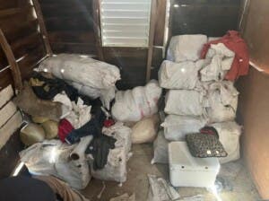 Confiscan alijo de marihuana en Villa Vásquez