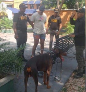 Lanzó un perro desde el piso 11 de un edificio en Bella Vista y ahora está preso