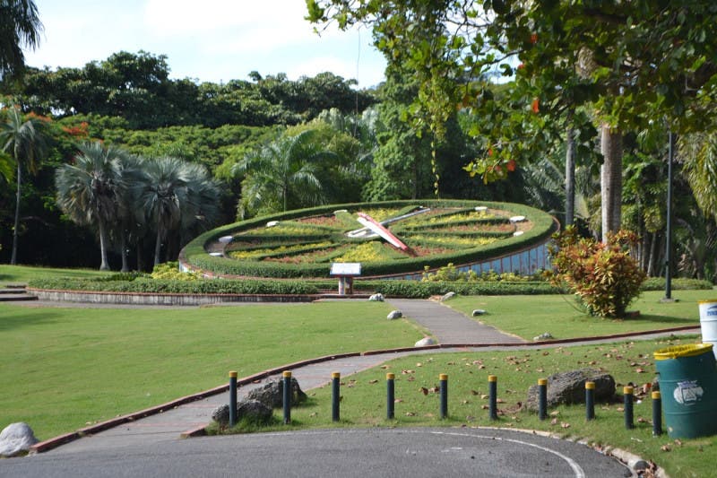 Panoramica del parque Jardín Botánico