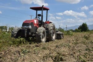 Agricultura prohíbe siembra de varios rubros en Azua para frenar la mosca blanca y los trips