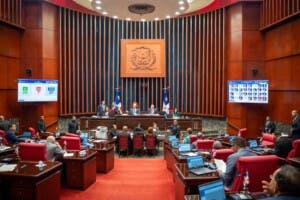 Senado deja sobre la mesa modificaciones al proyecto de Ley del Código Penal