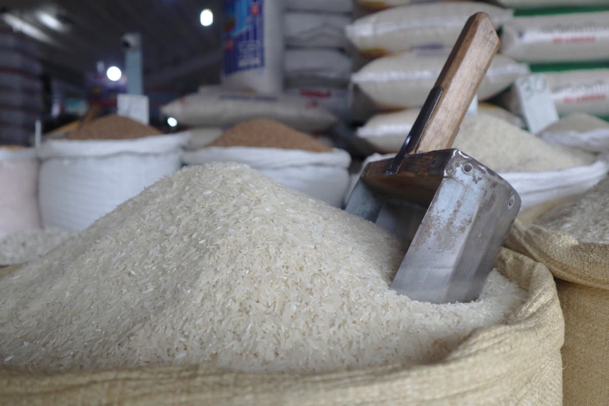 Importaciones masivas de arroz: una amenaza a productores locales