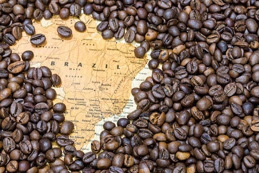 ¿Cómo los aranceles de Trump afectarán el café latinoamericano?