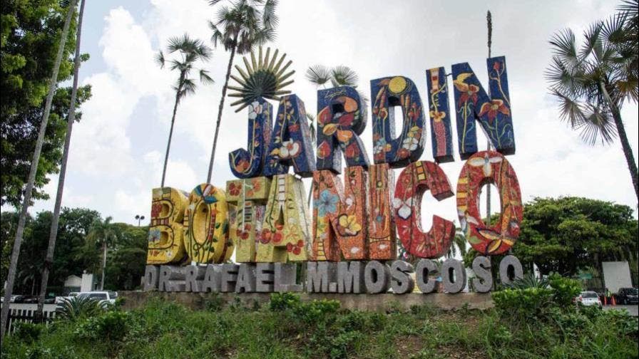 El Jardín Botánico Nacional “Dr. Rafael María Moscoso” no es solo un espacio de recreación, sino un patrimonio científico, ecológico y cultural que representa el corazón verde de la capital dominicana. Fundado en 1976 y ubicado en el sector Altos de Galá, este pulmón urbano de 2 millones de metros cuadrados alberga una de las colecciones botánicas más importantes del Caribe, con especies nativas, endémicas y en peligro de extinción.