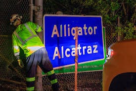 Detenciones migratorias en Alligator Alcatraz: ¿Un sistema ejemplar?