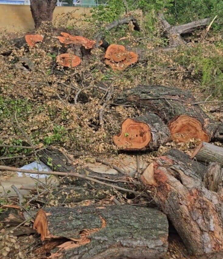 Así destrozaron increíblemente el Centro Olímpico JPD.