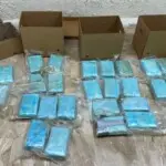 Descubren 30 paquetes de cocaína en cajas de piña en Punta Cana