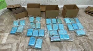 Descubren 30 paquetes de cocaína en cajas de piña en Punta Cana