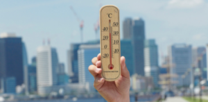 La inteligencia artificial ayuda a prever las olas de calor días antes de que se produzcan