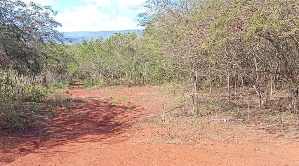 Juan Carlos Acosta Pérez ha anunciado a través de sus redes sociales el hallazgo de itrio en Pedernales, con hasta 3,000 ppm en muestras./Foto Julio Gómez