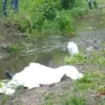 Fue a buscar agua y lo hallaron sin vida en ribera del río Magarín, en El Seibo: ¿Cómo murió?